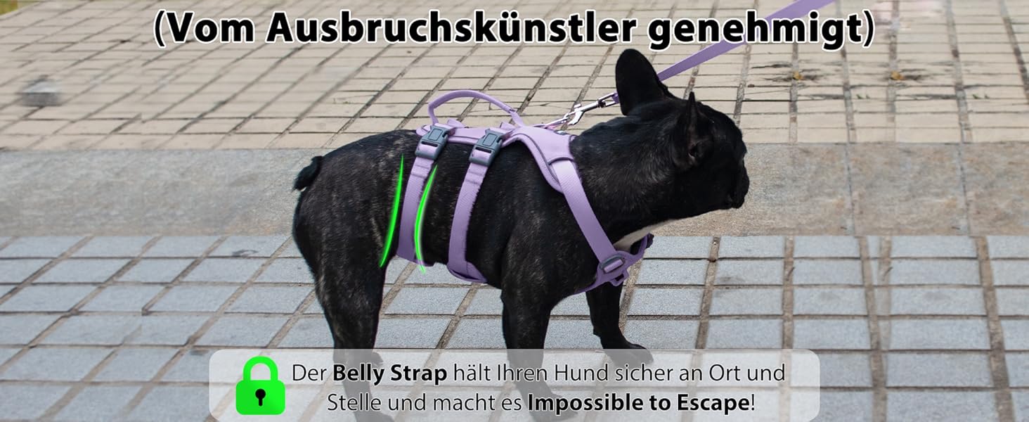 Нашийник для собак з повідком, безпечний нашийник від виривання, анти-тяга, нашийник для собак з ручкою та світловідбиваючими елементами, легкий, регульований, для середніх собак (XS) (Дуже маленький, фіолетовий)