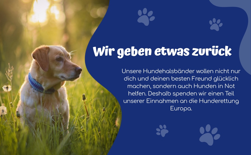Нашийник для собак FairPaw з паракорду - широкий, ручної роботи, для великих собак, блакитний L