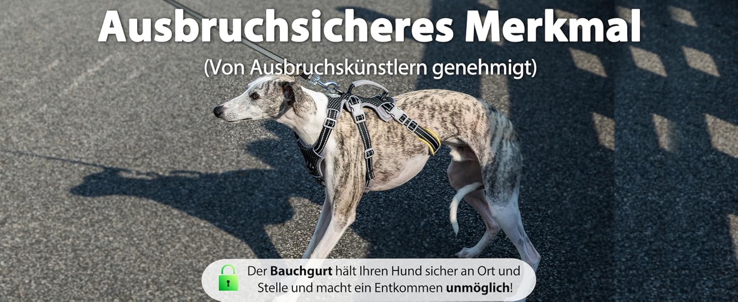 Шлейка безпеки для собак Huntboo, анти-пробіжна, світловідбиваюча з м'якою ручкою, регульована жилетка для маленьких собак, для прогулянок та тренувань (S), чорна, X-Small (упаковка з 1)