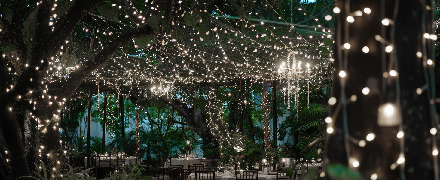 LED гірлянда 100 метрів, 800 LED, тепле світло для декору: Новий Рік, вечірка, сад, балкон. З таймером та пам'яттю