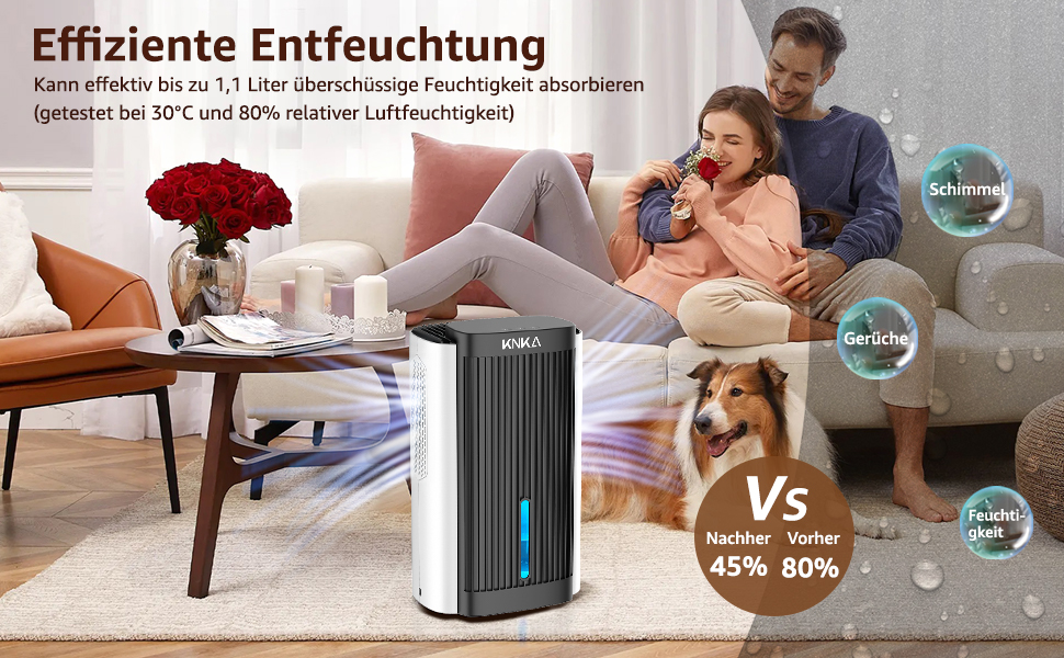 Електричний осушувач повітря KNKA, 1.1 л, тихий (28dB), для дому, ванної кімнати, підвалу, з автовимкненням та нічним режимом, кольорове підсвічування (білий), чорно-білий