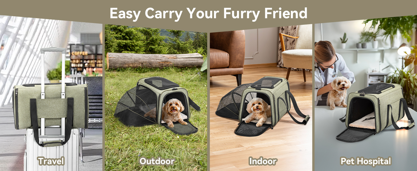 Транспортний бокс для кота/собаки Petsfit - складаний, зелений, M