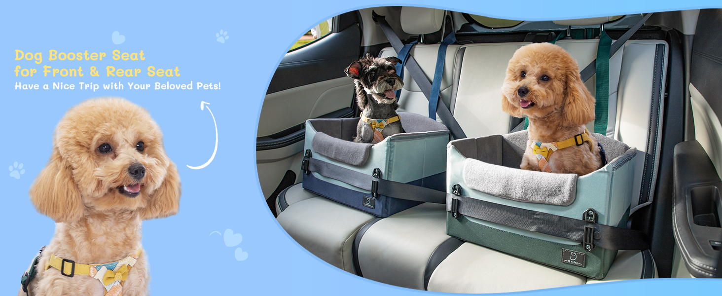 Автокрісло для собак, автокрісло для маленьких собак з ременями, підвищення для собак, складне, блакитне