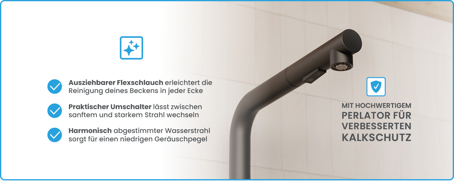 Кухонний змішувач Bächlein Varvaro – поворотний на 360° з висувним шлангом та душем, матовий чорний