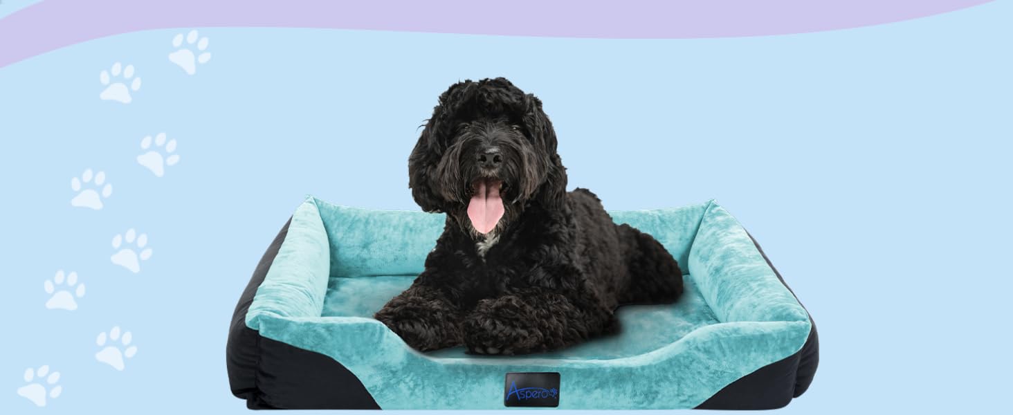 Крісло-ліжко для собак - м'яке ліжко-кошик з високим бортиком, 40x50 см, бежеве