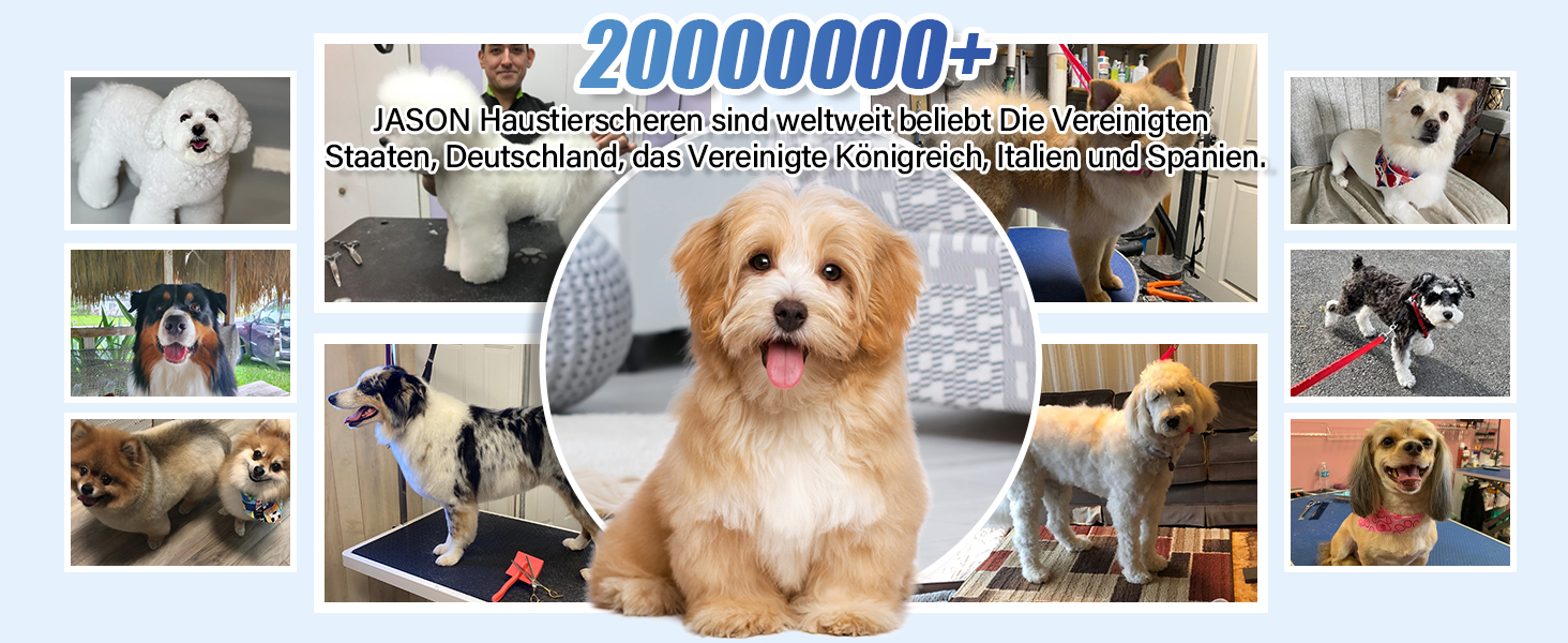 Професійна ножиця для грумінгу собак JASON Profi Fellschere - 40 зубців, з нержавіючої сталі 440C, 7 дюймів, ергономічна ручка, рожеве золото