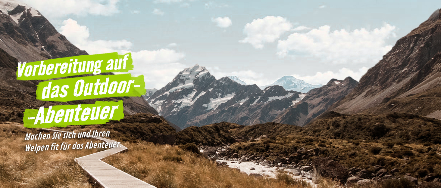 Рюкзак для кота/собаки Pecute з сіткою, розширений, з завісою, дихаючий, водонепроникний, для подорожей, сірий L