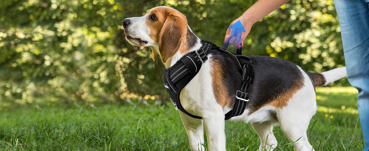 Шлейка для собак середніх розмірів Funfox, анти-тяга, з ручкою та світловідбиваючими смугами, не тягне, чорна, розмір L