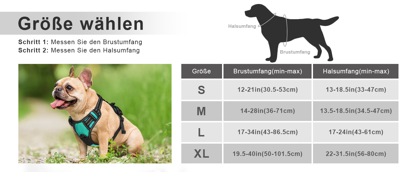 Нашийник для собак Joytale середнього розміру, світловідбиваючий, дихаючий, регульований з ручкою для тренувань, M (XL, 1 шт), блакитний
