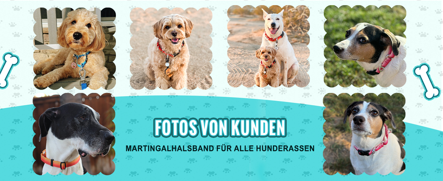 Відбиваюче повідець для собак Martin Gay, з зупинкою, для великих, середніх та малих собак, повідок-стопер для Whippets, Greyhounds, Saluki (Турквезевий, M)