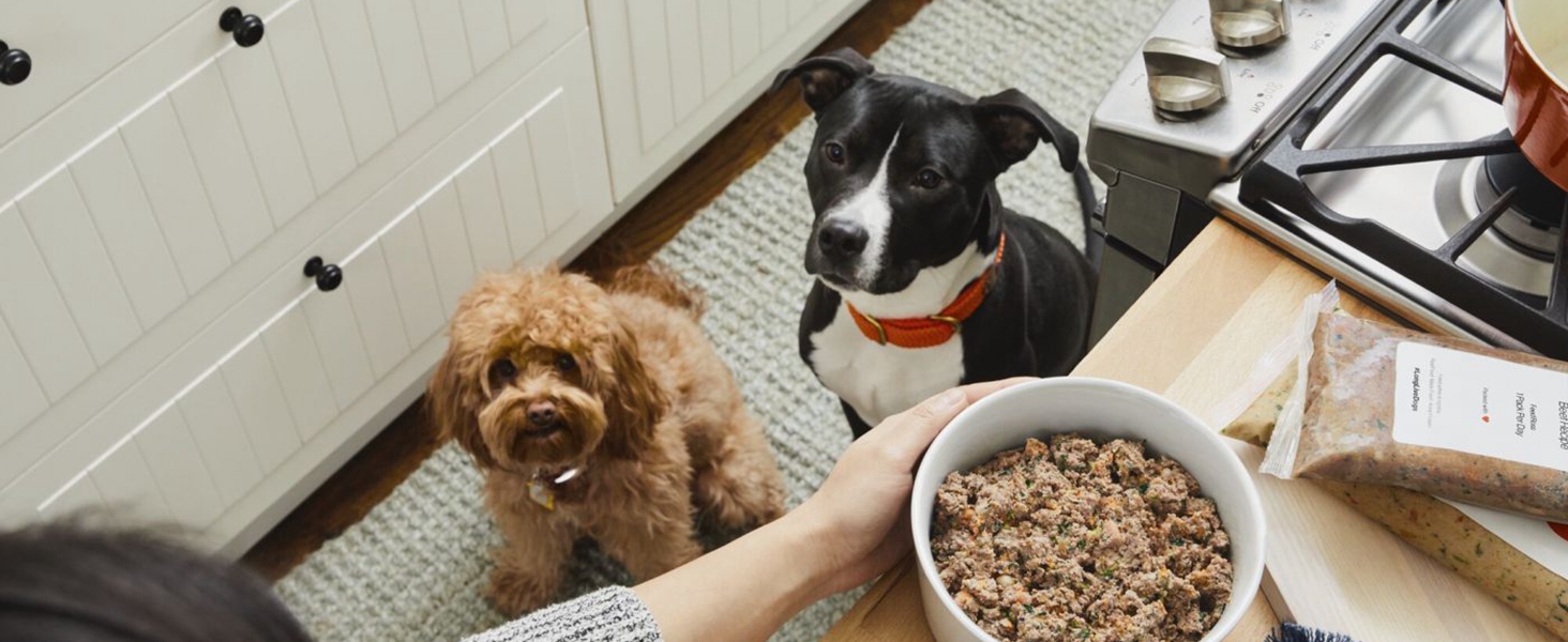 Кухонні ваги Nutri Fit: цифрова вага з нержавіючої сталі, ультраплоска, LCD-дисплей, 5 кг, 4 одиниці вимірювання