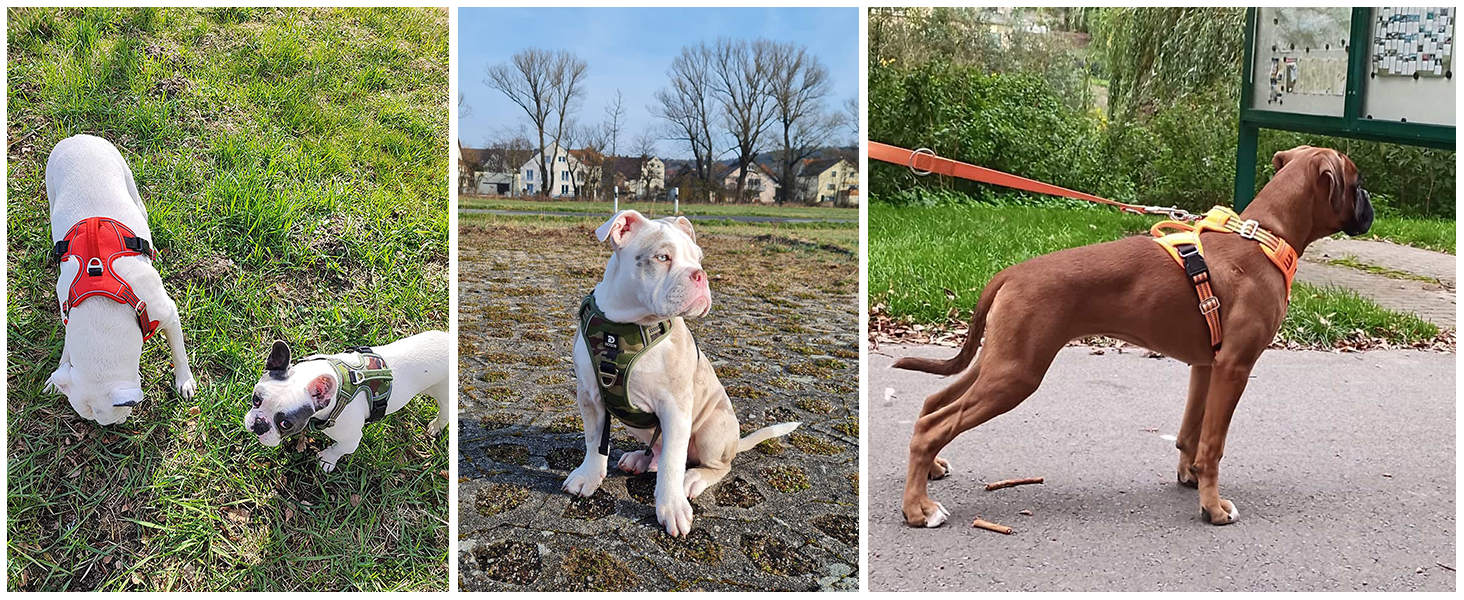 Нашийник для собак великих порід, антинатяг, світловідбиваючий, дихаючий, зручний, безпечний, м'який, зелений, XL, упаковка 1 шт.