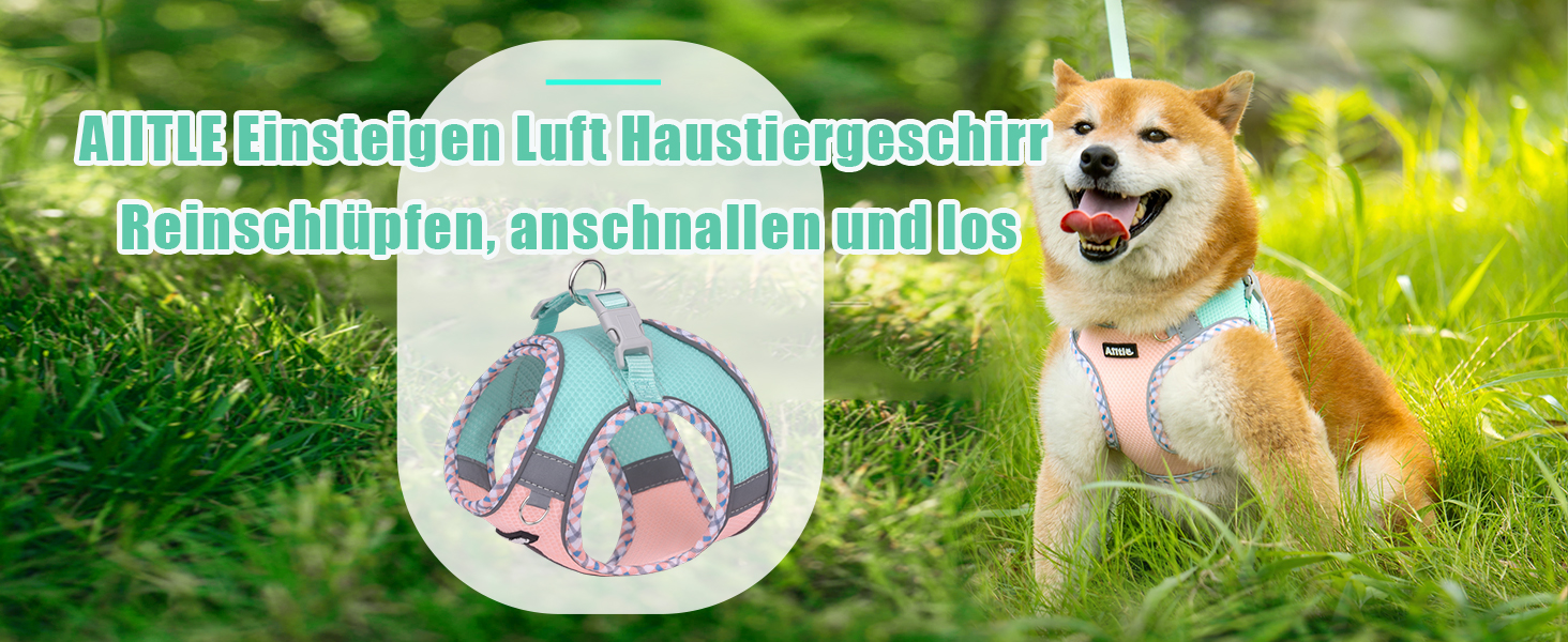 Нашийник та поводок для собак: комплект для прогулянок, нашийник для навчання цуценят, м'який дихаючий аксесуар для домашніх тварин, світловідбиваючі смуги, для дуже маленьких собак та котів, блакитно-рожевий, XXXS