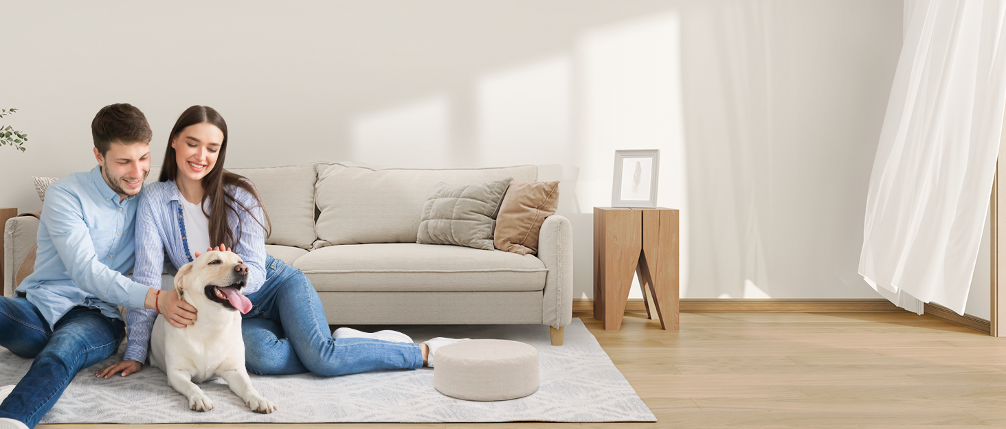 Greenote GSC60 Бездротовий акумуляторний пилосос, 33000Pa, з сенсорним екраном, до 40 хв роботи, 10 в 1, тихий, для твердих поверхонь, килимів, шерсті тварин