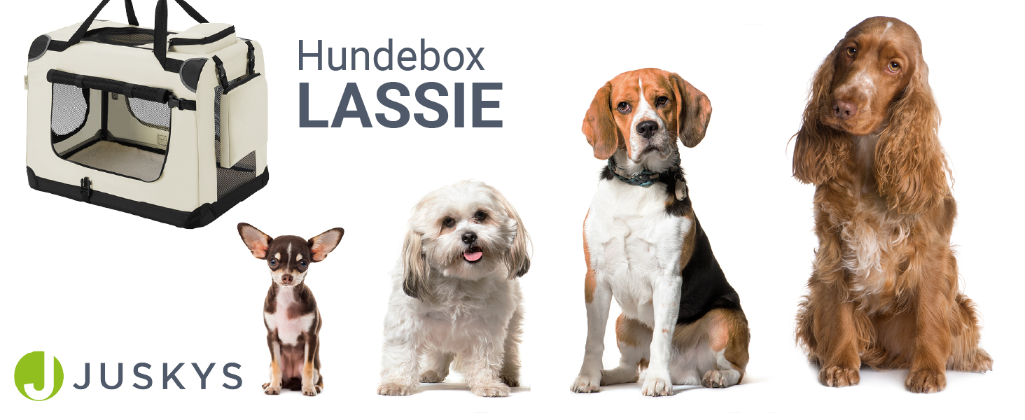 Транспортна переноска для собак Juskys Lassie XL, складна та портативна 56x81x58 см з ковдрою, сумкою та ручками. Підходить для собак, котів та інших домашніх тварин. Оксфордська тканина, переноска для авто, сіра (бежева, L 50 x B 34 x H 36 см)