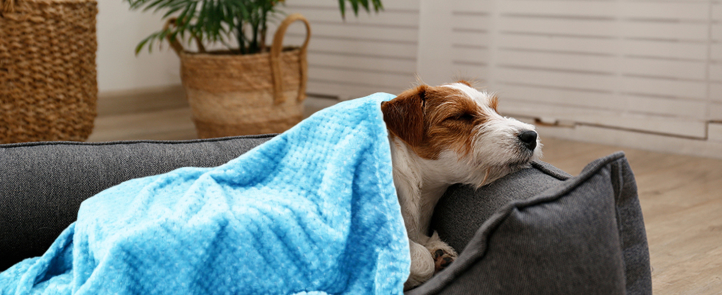 SLSON Деки для собак та котів, м'які двосторонні, 70x100 см (блакитний та рожевий)