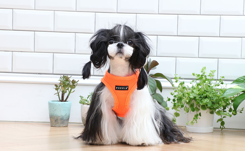 Нашийник для собак Puppia Neon Pink XL - Комфортний та якісний, також як жилет для собак