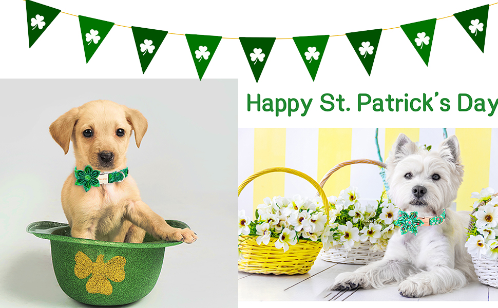 Гірлянди на День Святого Патріка для собак: стильний аксесуар з трилистником (XS, WhiteTrefoil)