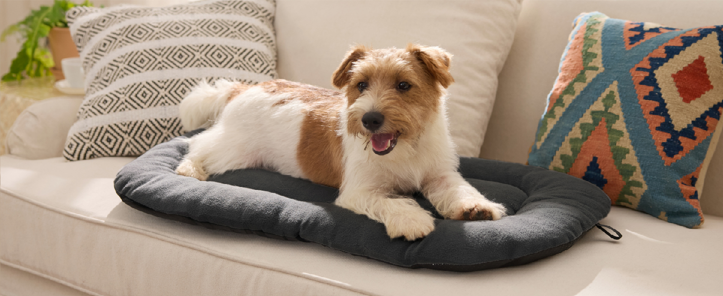 Килимок для собак BEDSURE середнього розміру - м'який, зручний, з неслизьким дном, 74x46 см, темно-сірий