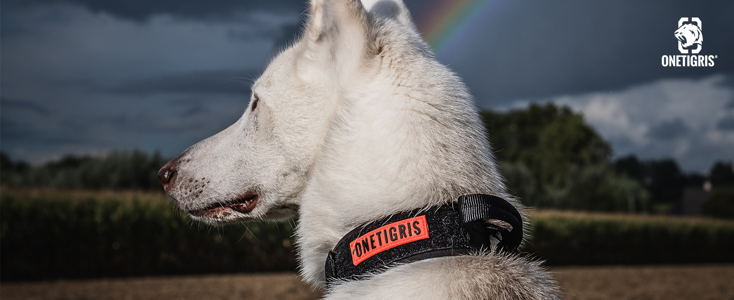 Нашийник для собак OneTigris Ranger з металевою застібкою, зелений, розмір M