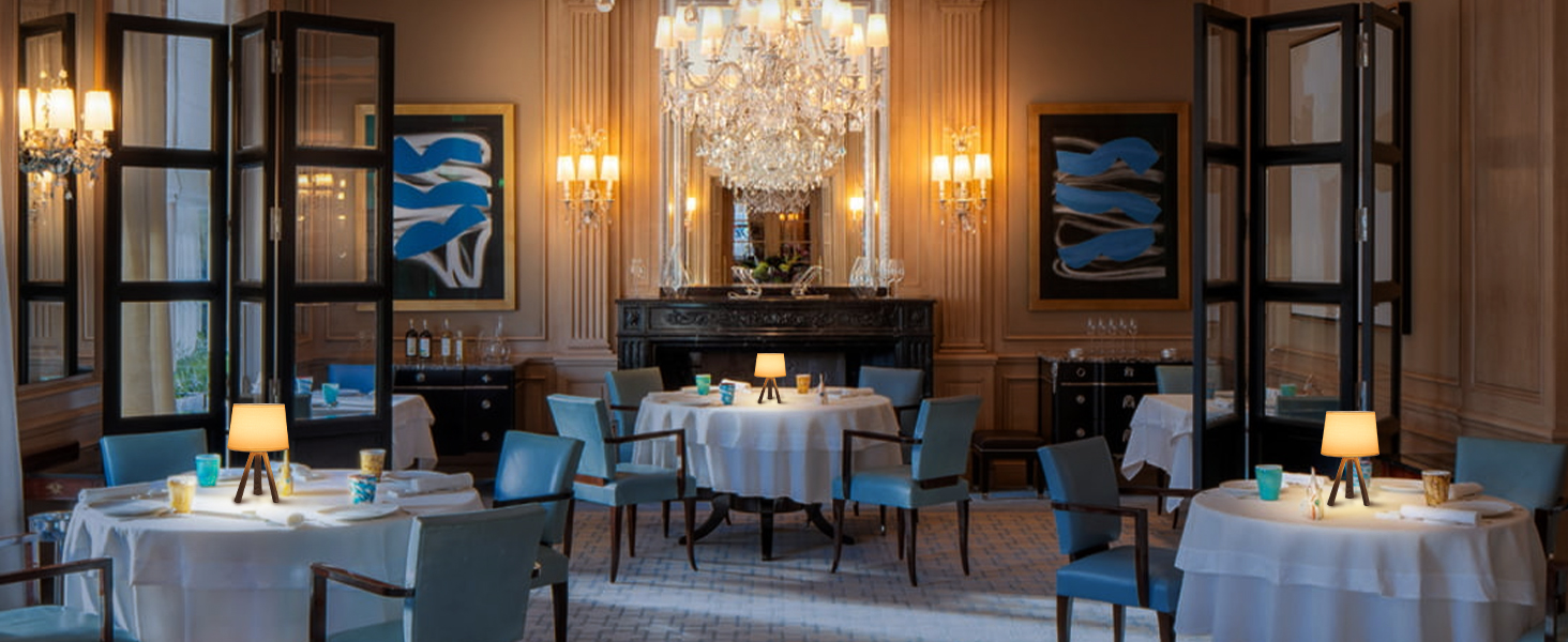 LED-лампа Egobasic настільна бездротова з пультом, таймером, регулюванням яскравості, акумулятором, змінним кольором, для спальні, кухні, вітальні (тринога з харчової смоли)