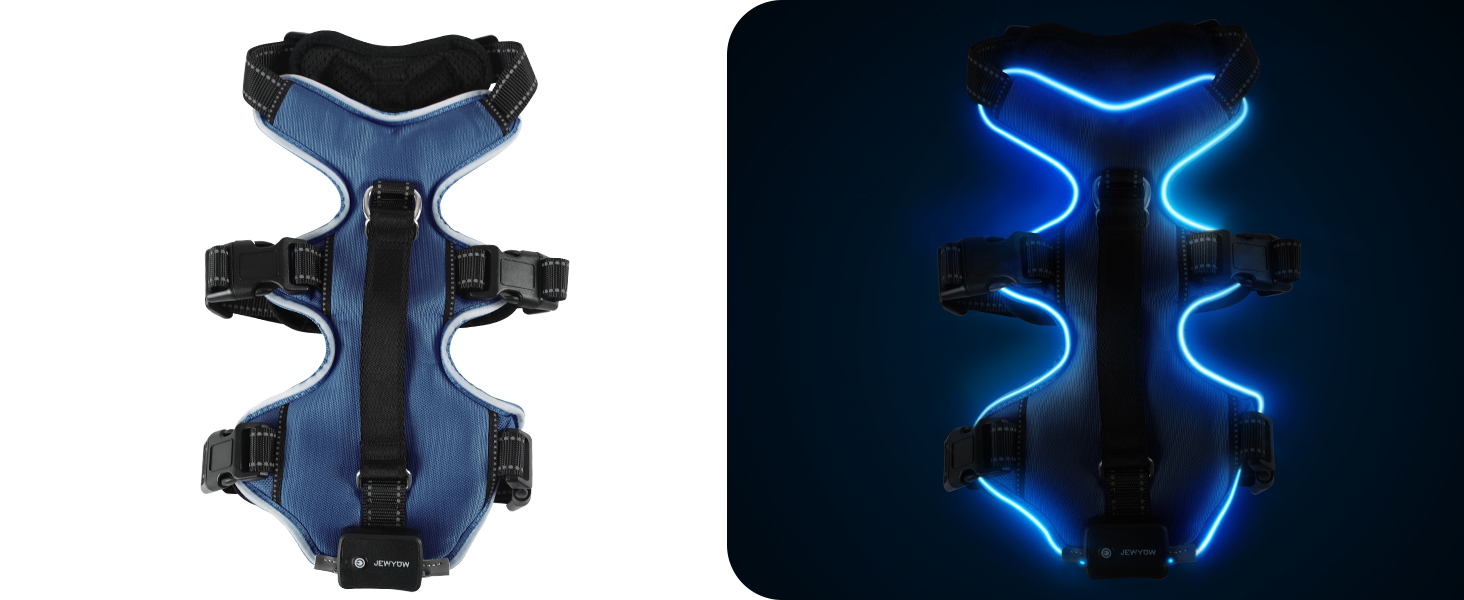 Світловідбиваючий нашийник для собак Jewyow з LED, перезаряджуваний, м'який, регульований, водонепроникний, зелений (XL)