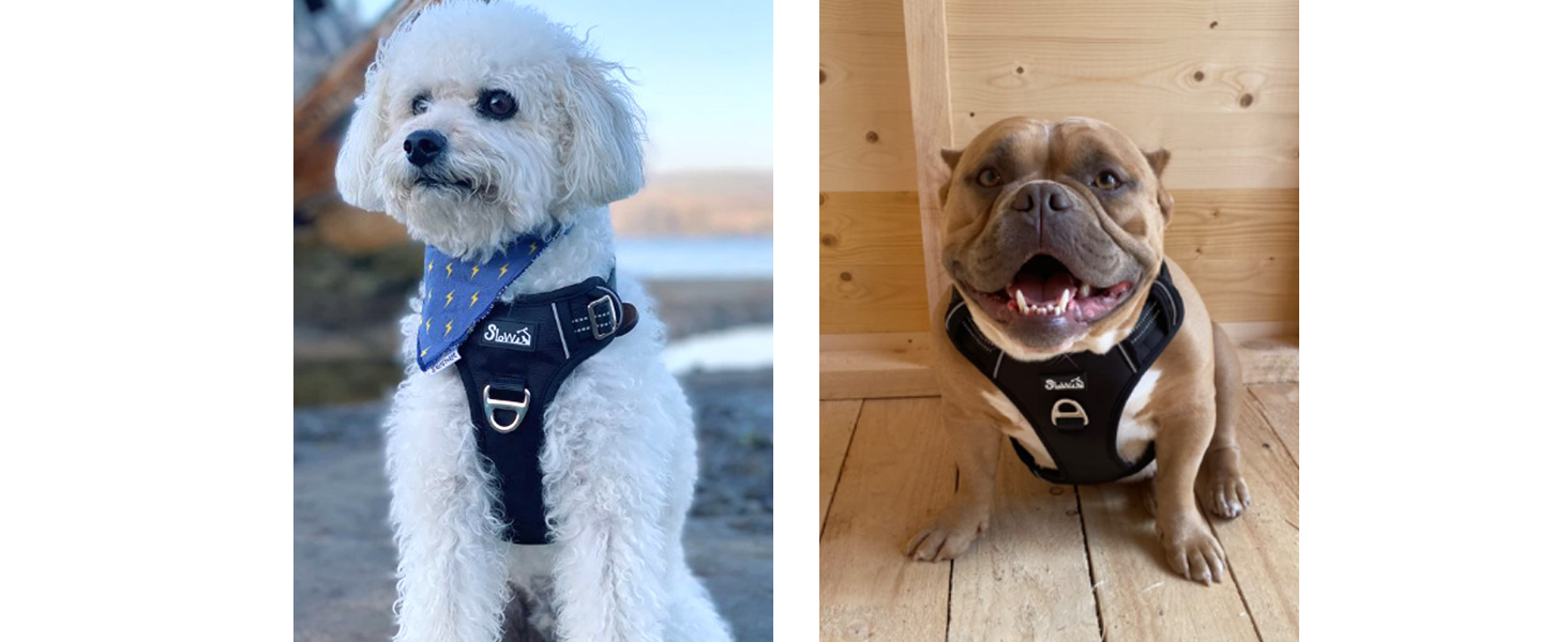 Шлейка для собак великих порід, анти-тяга, з 2 карабінами та зручною ручкою, регульована та світловідбиваюча, з м'якою підкладкою, для щоденних тренувань (Чорний, L) Розмір L (Окружність шиї: 42-60 см, Окружність грудей: 47-86 см) Чорний