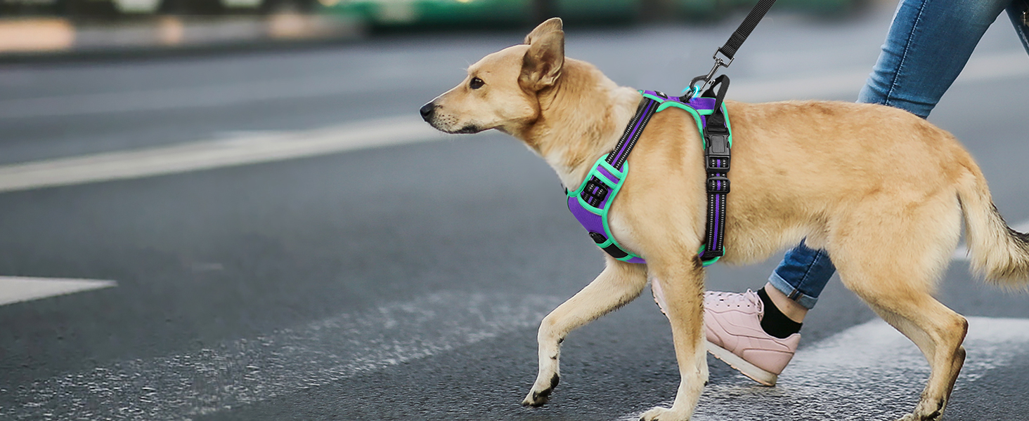 Шлейка для собак великих порід Eagloo, анти-тяга, з відбиваючими смугами, регульована, для Лабрадора, L (1 шт, м'ятно-зелений & фіолетовий)