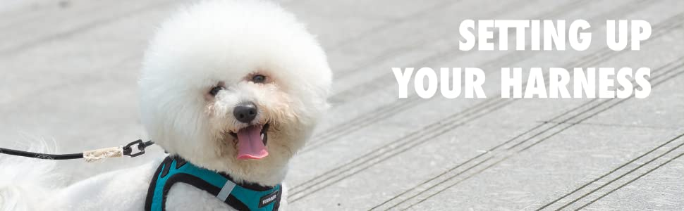 Шлейка для собак Voyager Step-In з плюшу, чорна, розмір L (45-52 см) від Best Pet Supplies