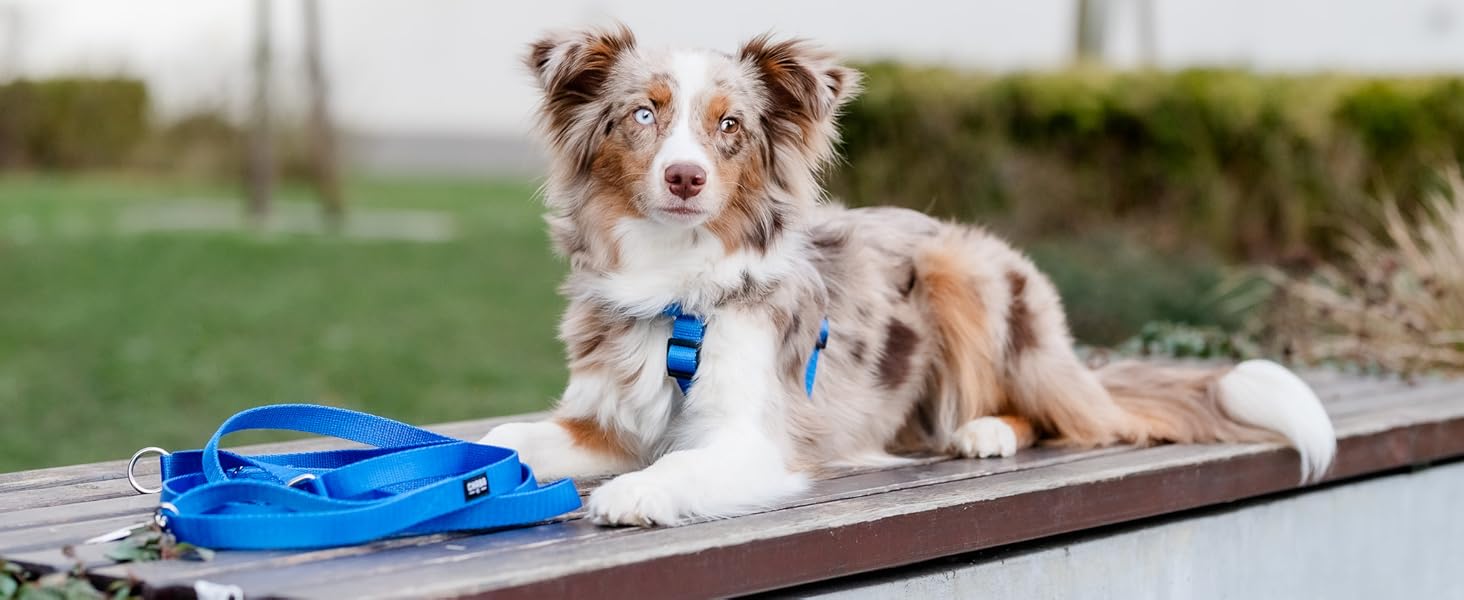 Шлейка для собак Chaba Guard середнього розміру, контрольована, протисмикова, регульована, комфортна та легка, класична Step-in, для прогулянок, розмір L, колір Морський