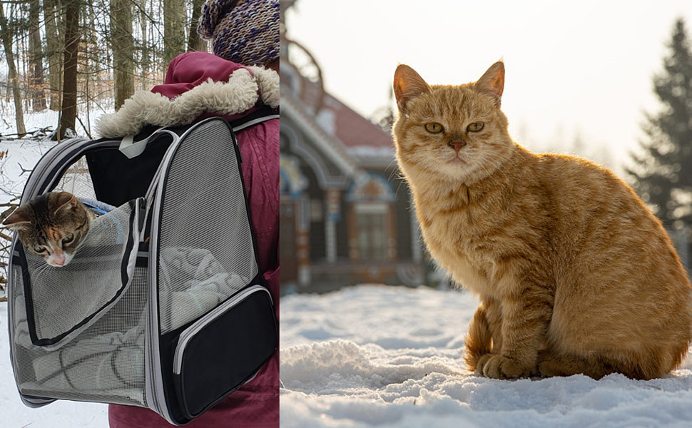 Рюкзак для тварин, переноска для собак і котів до 10 кг, сірий, м'який, складаний