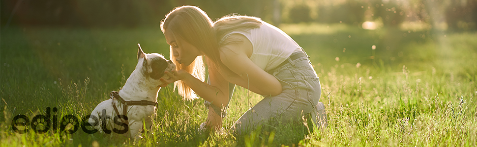 Hundeleine Edipets висувна 8 м, для собак різних розмірів, червона