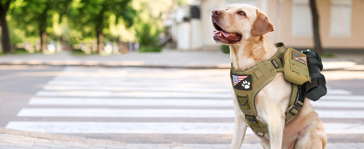 Шлейка для собак Rabbitgoo для великих собак без натягу, тактична нагрудна шлейка з MOLLE, металеві пряжки, дихаюча, військова, регульована, з підкладкою, L (1 шт., коричнева)