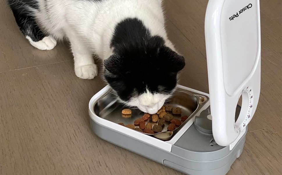 Автоматичний годівниця для котів та маленьких собак Closer Pets C100 з таймером – до 400 г, з нержавіючою чашею