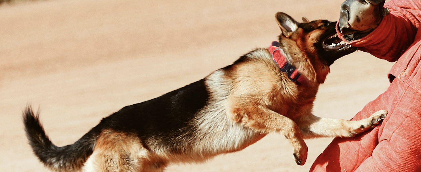 Преміум нашийник для собак TSPRO з ручкою, тактичний, міцний, з металевою застібкою, для середніх та великих собак (червоний L), розмір ручки L (регульований 44.5-62.2 см)
