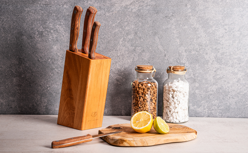 Набір ножів Karl Hausmann 5 предметів: ніжний блок, кухонні ножі з нержавіючої сталі, блок для ножів з пластику та щетиною