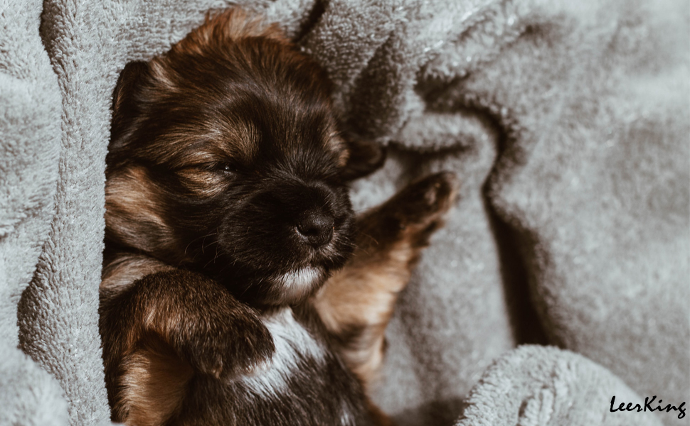 Флатуша плед для собак та котів LeerKing, 100 x 150 см, сірий. Двошаровий, м'який, для дивана, ліжка, авто. Можна прати.