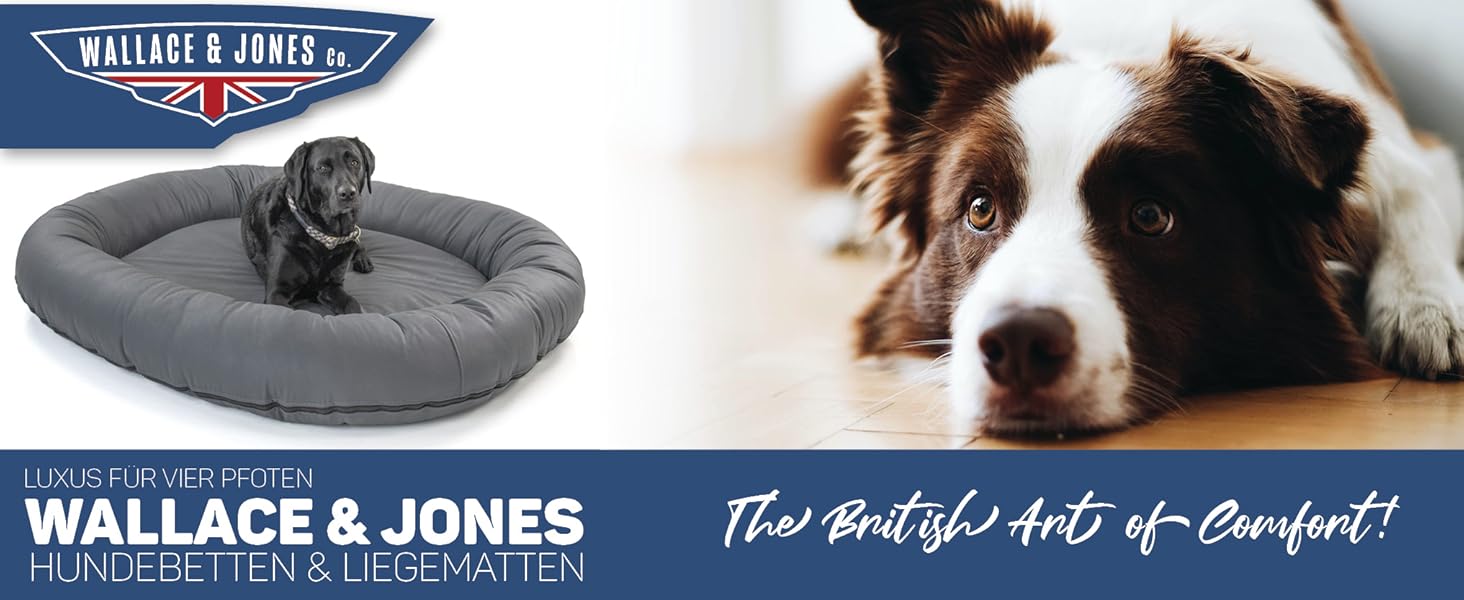 Wallace & Jones | Преміум собаче ліжко Болтон, диван для собак 63x50 см, штучна шкіра, для маленьких собак, прихований блискавка, миється, нековзне, темно-сірий 63 x 50 см, темно-сірий