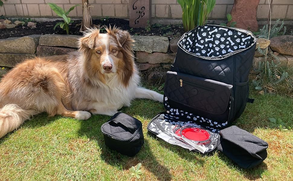 Petpets® Dog Travel Backpack - Practical Dog Carrier Bag for Travel, Camping & Day Trips