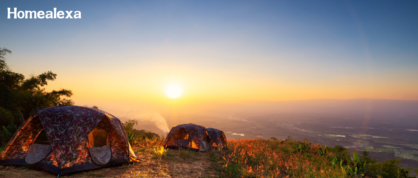 Термокружка для кави HomeAlexa з цифровим дисплеєм, 410 мл, нержавіюча сталь 316, ізольована, з кришкою, для подорожей
