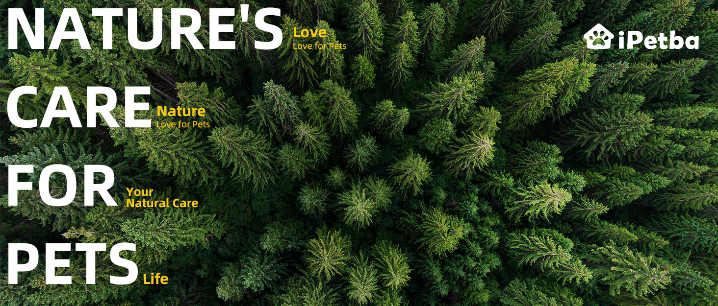 Східці для собак на ліжко та диван – щадні до суглобів, антиковзні, складні, регульовані, портативні, до 16 кг/20 кг