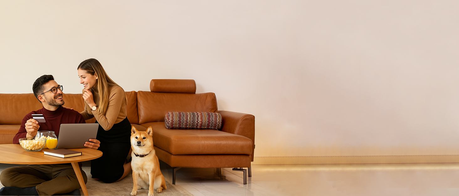 UWANT Теперішній пилосос для миття килимів, для диванів, килимів, м'яких меблів, мокрий/сухий пилосос з потужною потужністю всмоктування 12000Pa, 60dB, B100-s