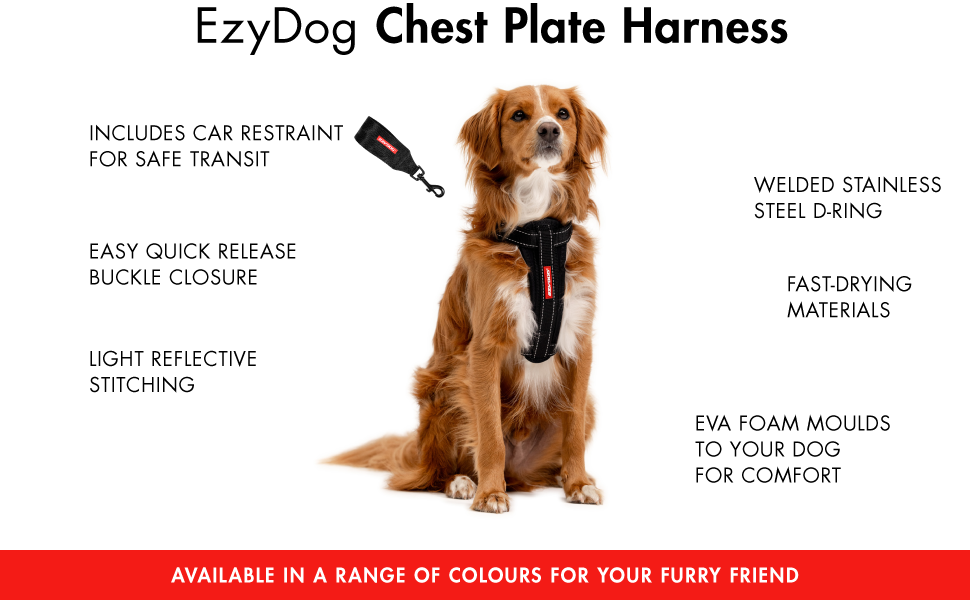 Шлейка для собак EzyDog Chest Plate – безпечна шлейка з адаптером для пасків – світловідбиваюча, з м'якою підкладкою, для собак маленьких, середніх та великих порід (L, Чорний)