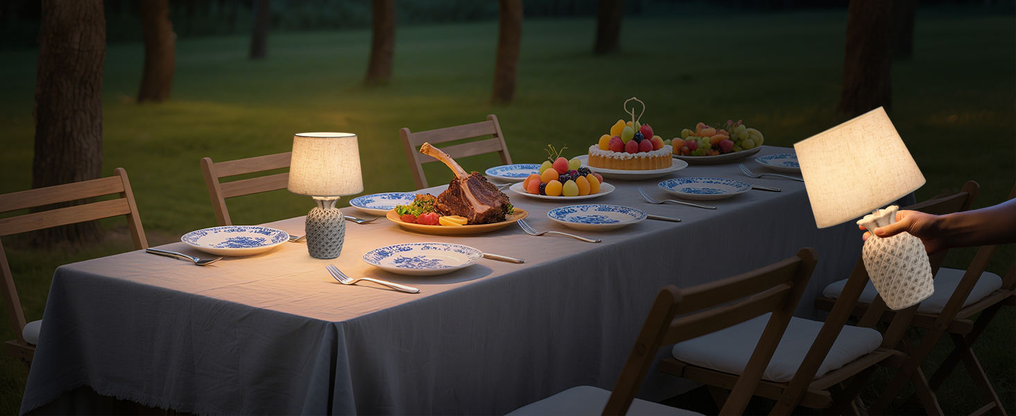 LED-лампа Egobasic на акумуляторі з пультом, таймером та регулюванням яскравості, змінне підсвічування, керамічна основа у вигляді ананаса, для спальні, кухні, вітальні