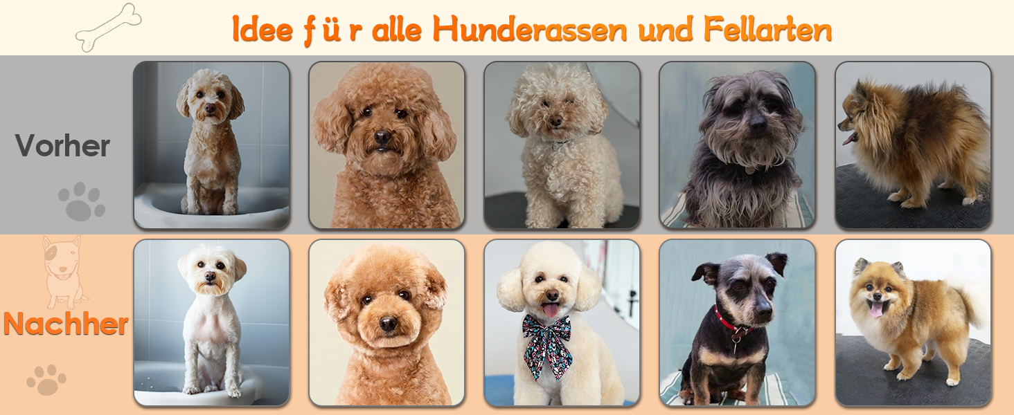 Професійна машинка для стрижки собак та котів Leise, 4 насадки, бездротова, для густого та кучерявого волосся