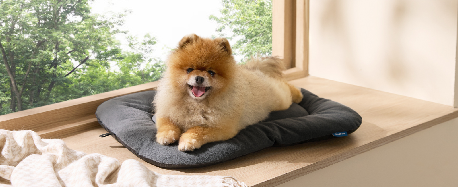 Килимок для собак BEDSURE середнього розміру - м'який, зручний, з неслизьким дном, 74x46 см, темно-сірий