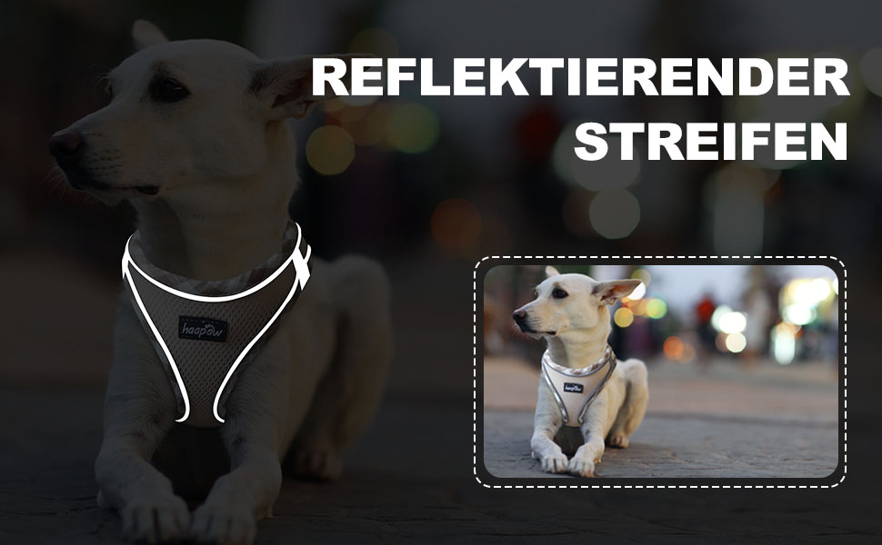 Нашийник та поводок для собак Haapaw, антинатяг, регульований, світловідбиваючий, Step-in, для цуценят та маленьких собак, посилена підкладка, колір Бежевий, розмір M (38.1-45.7 см, 4.5-6.8 кг)
