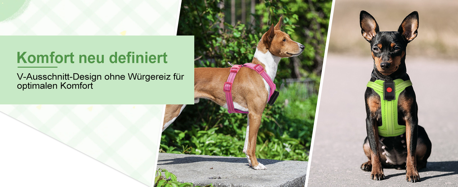 Світловідбиваючий нашийник для собак PZRLit з підзарядкою, для маленьких собак, XS, LED, для безпечних прогулянок вночі - Рожевий