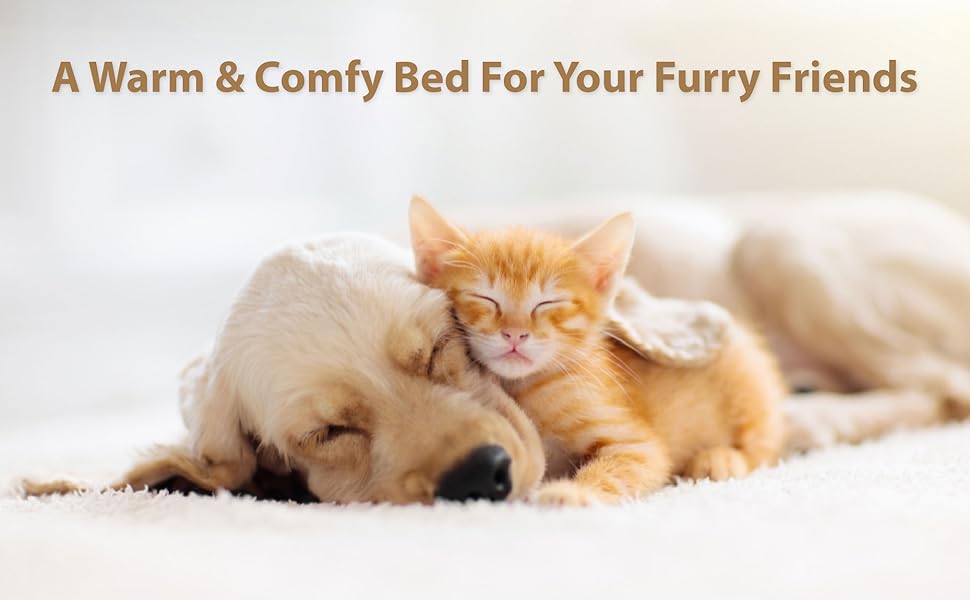 Ліжко для собак Ellie-Bo, XXL, 117x75x10 см, зелене, водонепроникний матеріал, м'яка та миюча подушка