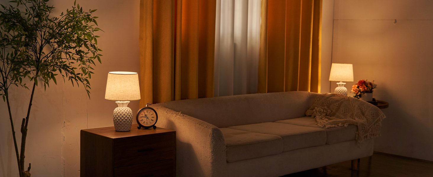 LED-лампа Egobasic на акумуляторі з пультом, таймером та регулюванням яскравості, змінне підсвічування, керамічна основа у вигляді ананаса, для спальні, кухні, вітальні